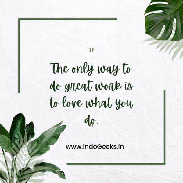 Instagram Story Caption and Quotes for Boys and Girls indoGeeks